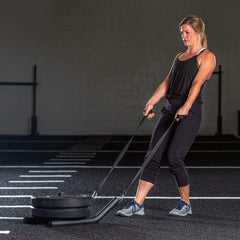 R2 Pull Sled
