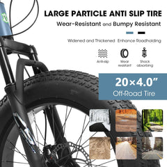 City-Cruizer – 20-Inch Fat Tire Mountain Bike